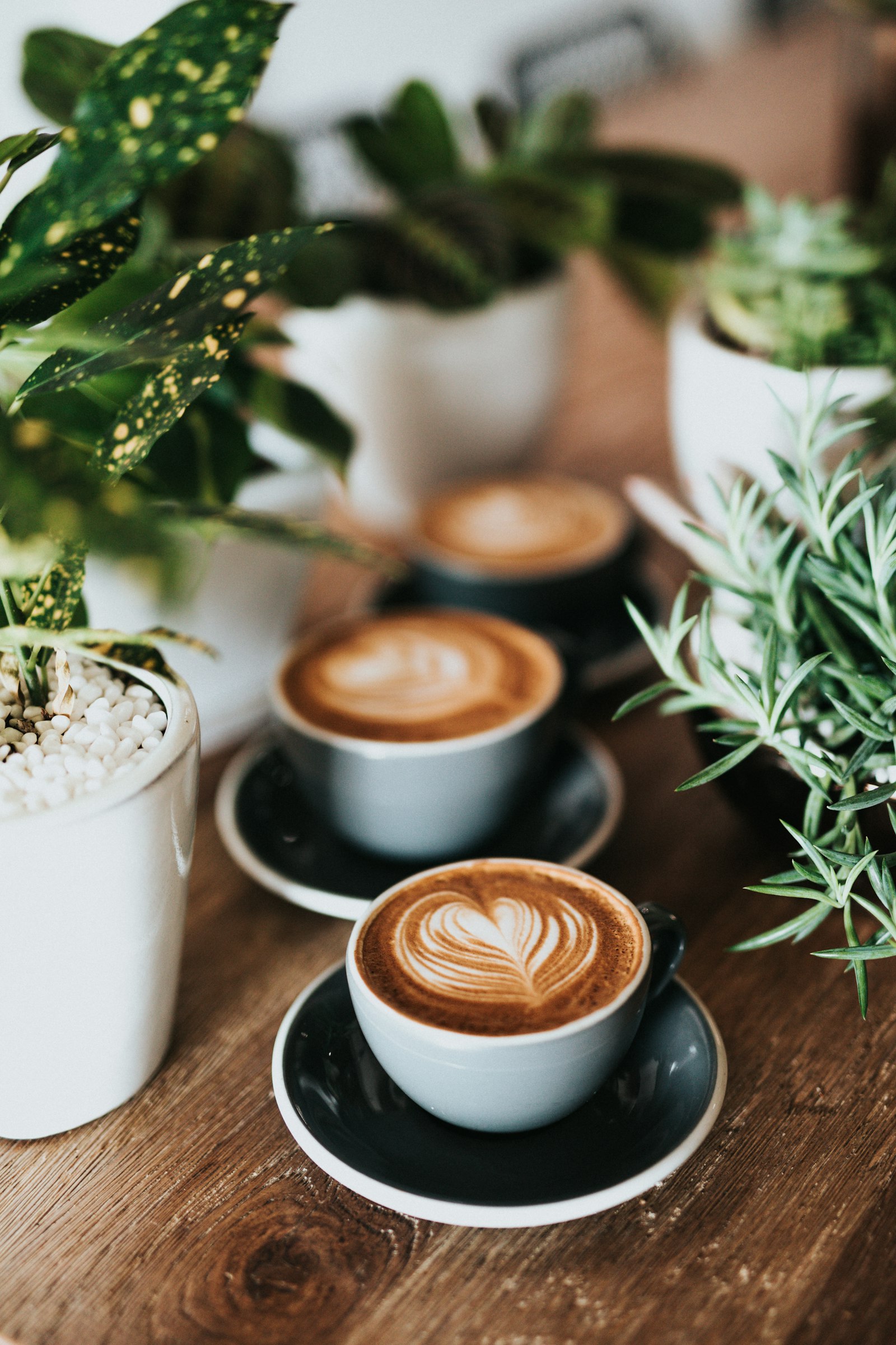 After class? Coffee Klub.
